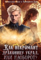 Как некромант драконицу украл. Или наоборот? — Анжелика Лиса, Катерина Кот