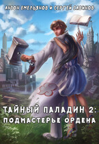 Тайный паладин 2: Подмастерье ордена — Антон Емельянов и Сергей Савинов