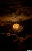 Разные истории о темных сил — Askarr Danyarov