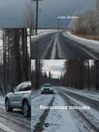 Внезапная поездка — Алекс Вестов