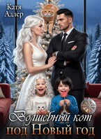 Волшебный кот под Новый год — Катя Адлер