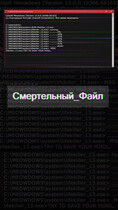 Смертельный файл — Дэн Кош