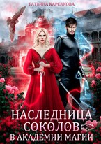 Наследница Соколов в Академии магии — Татьяна Корсакова