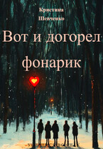 Вот и догорел фонарик — Кристина Шевченко