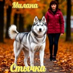 Стычка — Милана