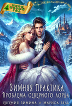 Зимняя практика. Проблема Северного Лорда — Евгения Зимина