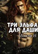 Три эльфа для Даши — Молли Н