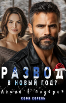 Развод в Новый год? Леший в подарок — Софи Сорель