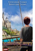 Великолепные зверята и чародей из Арбузовки. Книга 2. Чародей из Арбузовки — Седых Александр, Седых Вячеслав