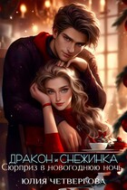 Дракон и Снежинка. Сюрприз в новогоднюю ночь — Юлия Четвергова