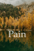 Pain — Aria Richard`s