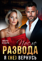После развода. Я (не) вернусь — Мира Спарк