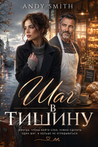Шаг в тишину — Andy Smith