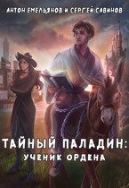 Тайный паладин: Ученик ордена — Антон Емельянов и Сергей Савинов