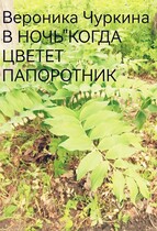 В ночь, когда цветёт папоротник. — Вероника Чуркина