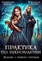 Практика по некромантии. Любовь с первого ритуала — Пальмира Керлис
                                                                                                            
                                                                                                                                                                                                                                        ,
                                                                
                                                                                                                                            Матильда Старр