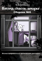 ВЗГЛЯД СКВОЗЬ ШТОРЫ Сборник эротических рассказов №6 — Андрей Райдер