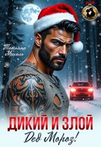 Дикий и злой Дед Мороз! — Татьяна Михаль