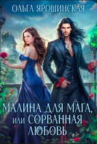 Малина для мага, или Сорванная любовь — Ольга Ярошинская