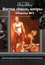 ВЗГЛЯД СКВОЗЬ ШТОРЫ.  СБОРНИК эротических рассказов №3 — Андрей Райдер