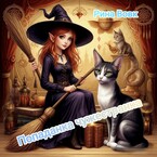 Попаданка чужестранка — Rina Vovk