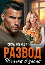Развод. Уволена в запас — Софа Ясенева