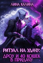 Ритуал на удачу: дроу и 40 кошек в придачу. Книга 2 — Лина Калина
