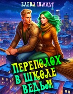 Переполох в школе ведьм — Елена Шмидт
