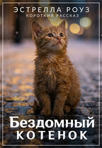 Бездомный котенок — Estrella Rose