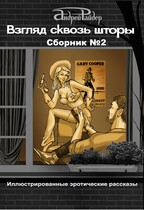 ВЗГЛЯД СКВОЗЬ ШТОРЫ.  СБОРНИК эротических рассказов №2 — Андрей Райдер