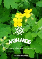Княгиня Краснопольская — Алэн Акоб