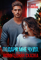 Подари мне чудо, или Новогодняя сказка — Сотникова Елена