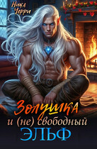 Золушка и (не) свободный Эльф — Ника Черри
