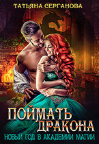 Поймать дракона. Новый год в Академии Магии — Татьяна Серганова