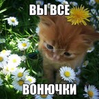 Тест — Tanya