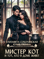 Мистер Кот и тот, кто в доме живет — Елизавета Соболянская