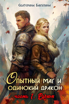 Опытный маг и одинокий дракон — 1. Разлом — Екатерина Бакулина