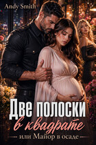 Две полоски в квадрате, или Майор в осаде — Andy Smith