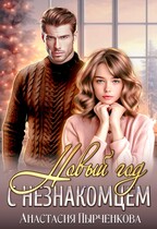 Новый год с незнакомцем — Анастасия Пырченкова