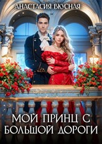 Мой принц с большой дороги — Анастасия Вкусная