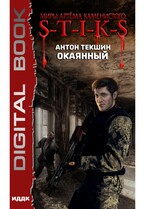 Миры Артёма Каменистого. S-T-I-K-S. Окаянный — Текшин Антон