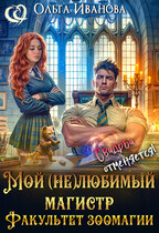 Мой (не)любимый магистр — Ольга Иванова