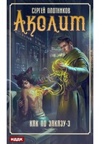 Как по заказу. Книга 3. Аколит — Плотников Сергей