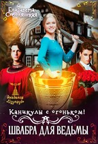Каникулы с огоньком. Швабра для ведьмы — Елизавета Соболянская