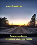 Стриженые белки, играющие в покер на трассе. — Агния Стефёдова