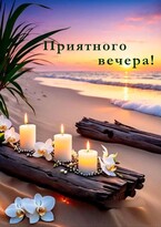 Пухов Александр Олегович Кронштадт — Фоймецплыж