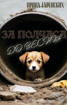 За полчаса до весны — Ирина Гаренских