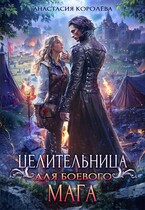 Целительница для боевого мага — Анастасия Королёва
