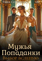 Мужья Попаданки. Выбор вслепую — Тина Солнечная