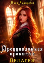 Преддипломная практика — Нина Ахминеева